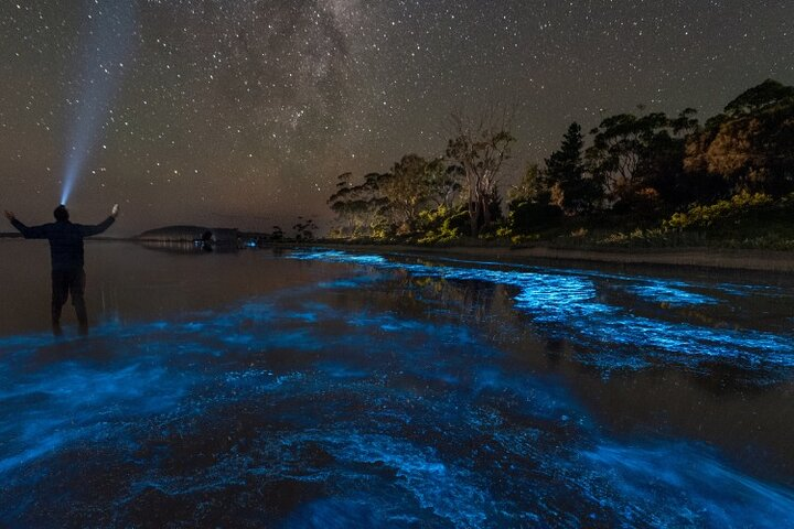 Florida Bioluminescent Kayak & Paddle Board Adventure  - Photo 1 of 8